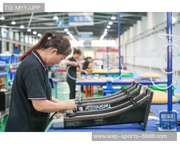 探索品牌体育用品的创新与发展趋势助力运动爱好者实现梦想